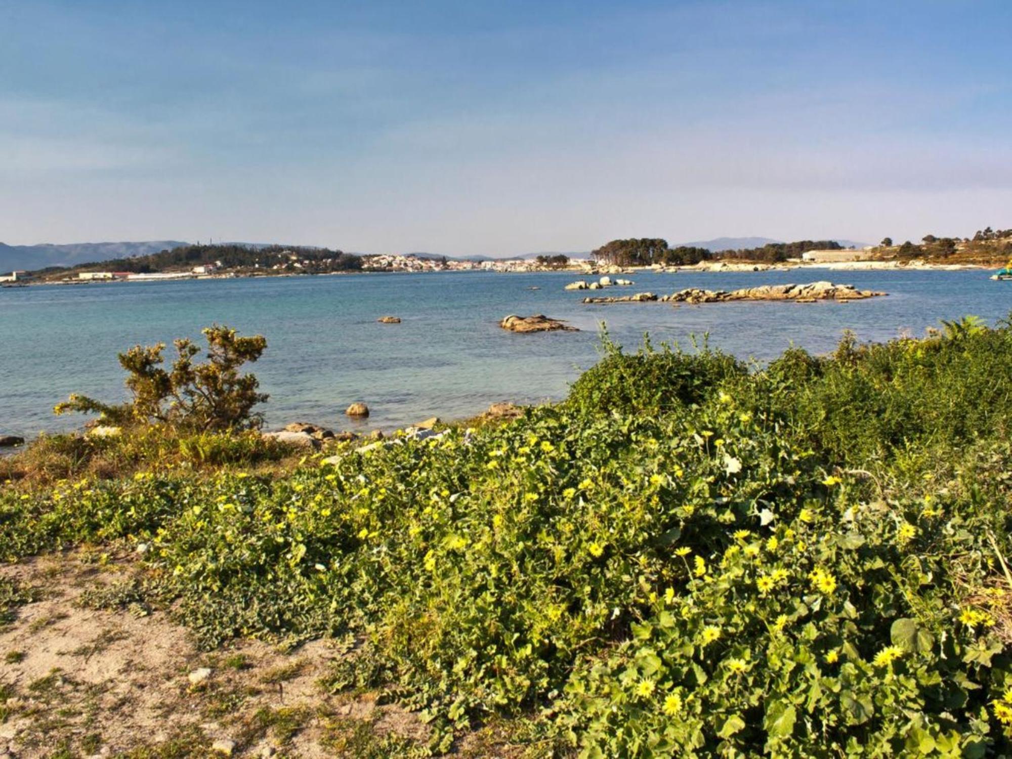 Complejo Tamanaco Illa De Arousa 3000 外观 照片
